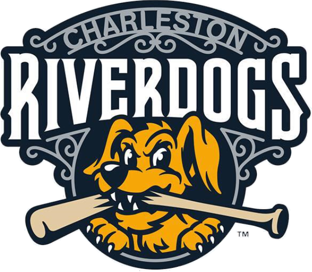 Charleston Riverdogs 2016-Pres Primary Logo iron on heat transfer